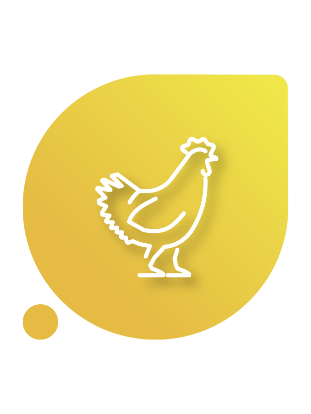 Probióticos para aves