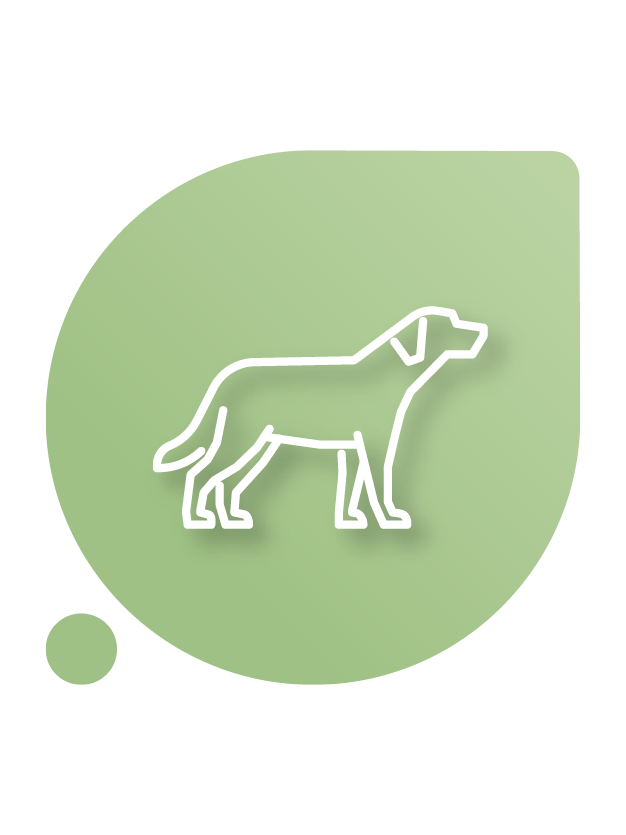 Probióticos para pet